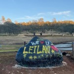 Leilani At El Dorado Hills Community Rock